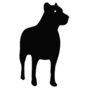 Cimarron